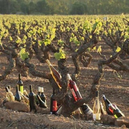 Escapada con cena y visita a bodega en Valls