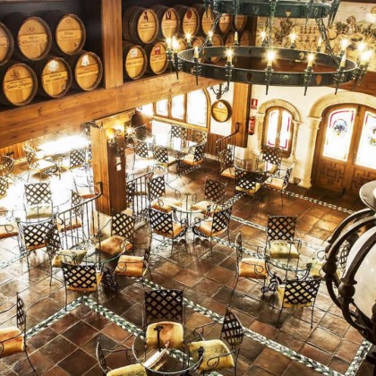 Relaxation among vineyards in a 4* hotel with access to the spa circuit