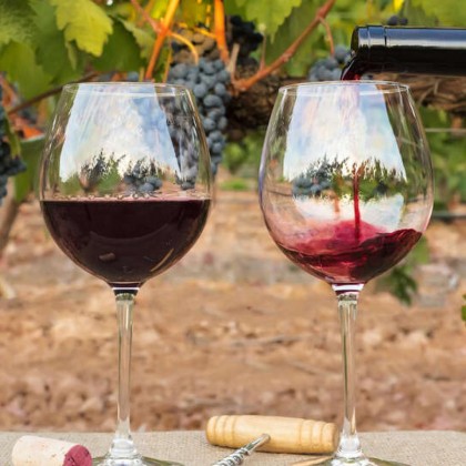 Escapadela no coração de Valladolid com uma garrafa de vinho e pequeno-almoço incluído.