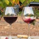 Escapadela no coração de Valladolid com uma garrafa de vinho e pequeno-almoço incluído.