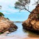 Discover the coast of Lloret de Mar with half board at the best price!