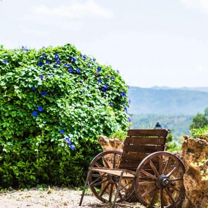 Special relaxation for couples in a 5* boutique hotel in Xerta with private access to the spa
