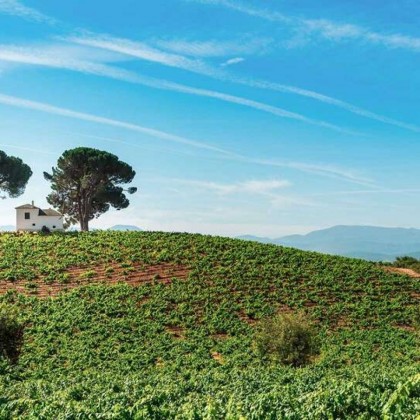 Oenology and nature in Cacabelos (from 2 nights)