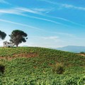 Enología y naturaleza leonesa en Cacabelos (desde 2 noches)