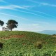 Oenology and nature in Cacabelos (from 2 nights)
