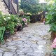 Oenology and nature in Cacabelos (from 2 nights)