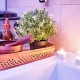 Relaxing getaway with access to the spa and sea views in Aguadulce, Almería