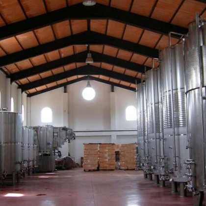 Hotel surrounded by vineyards 25 minutes from Granada