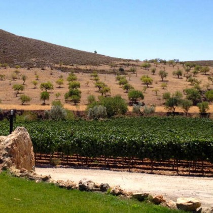 Hotel rodeado por vinhas a 25 minutos de Granada