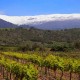 Hotel rodeado por vinhas a 25 minutos de Granada