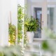 Sea view penthouse getaway in Conil de la Frontera