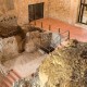 Escapade unique dans un lieu historique avec cave, spa et château à Belmonte (à partir de 2 nuits)