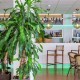 Reposez-vous et prenez votre petit-déjeuner face à la Méditerranée à Benalmádena