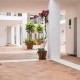 Offer with breakfast and cava in a charming hotel near the beaches of the Costa del Sol