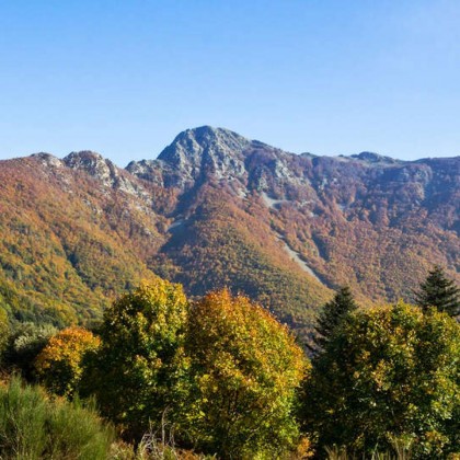 Détente avec accès au circuit thermal et dîner à La Garriga