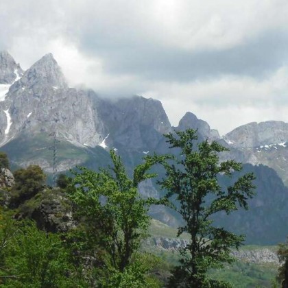 Escapadela com um jantar típico da Cantábria e uma visita ao lagar de azeite nos Picos da Europa