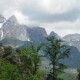 Getaway with a typical Cantabrian dinner and a visit to the olive press in the Picos de Europa