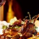 Getaway with a typical Cantabrian dinner and a visit to the olive press in the Picos de Europa