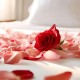 Relax 5*: In a renaissance palace with luxury spa circuit in Úbeda