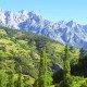 Absolute relaxation at the entrance to the Picos de Europa: breakfast and spa for two