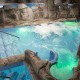 Absolute relaxation at the entrance to the Picos de Europa: breakfast and spa for two