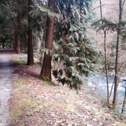 Disconnect in the heart of the Basque countryside with dinner for two and access to the thermal circuit