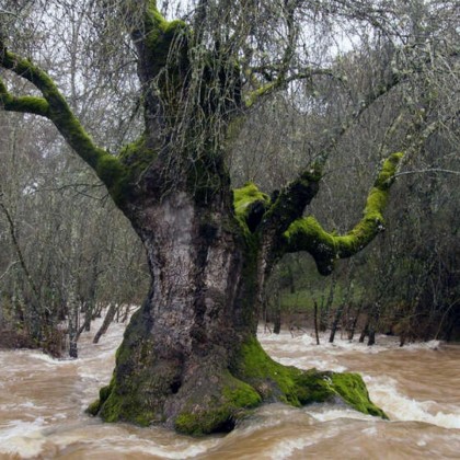 Escapada gastronómica con cena, cesta picnic y vino en el Parque Natural de Despeñaperros