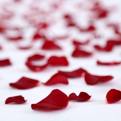 Sibarita & Love Special! Seafood and romance in Suances