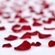 Sibarita & Love Special! Seafood and romance in Suances