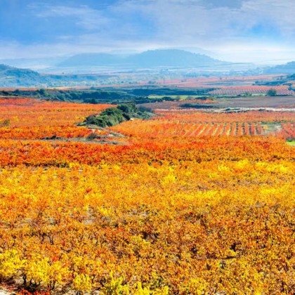 Escapada con desayuno en La Rioja