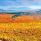 Escapada con desayuno en La Rioja