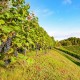 Pausa para o pequeno-almoço em La Rioja