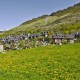 Naturaleza con media pensión en el pirineo catalán