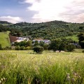 Escapadela em família com oferta de boas-vindas e check-out tardio entre Ronda e Sierra Grazalema