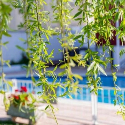 Getaway near the Roman Theatre of Mérida with dinner and bottle of cava