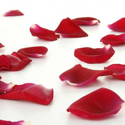 5* premium romanticism with bottle of cava, chocolates and petals in Vigo