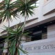 Découvrez Castellón dans un hôtel central avec piscine et petit-déjeuner inclus