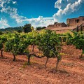 Séjour en Couple à Vilafranca del Penedès, à 1 Heure de Barcelone