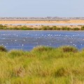 Charming getaway near the Doñana Natural Park