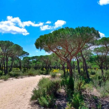 Refúgio de charme perto do Parque Natural de Doñana