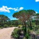 Charming getaway near the Doñana Natural Park