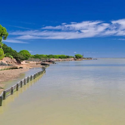 Charming getaway near the Doñana Natural Park