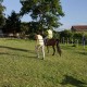 Escapada Romántica con bañera de hidromasaje en Galizano