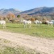 Romanticismo con cena y spa en un exclusivo hotel-en el Valle de Ambroz, Extremadura