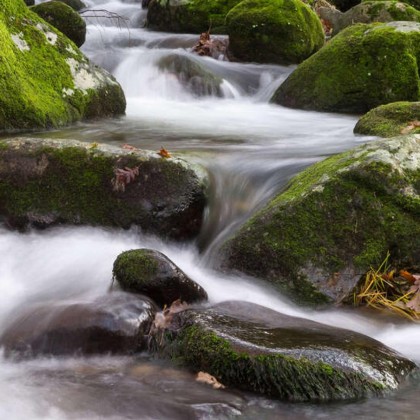 Romanticismo con cena y spa en un exclusivo hotel-en el Valle de Ambroz, Extremadura