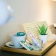 Romanticismo con cena y spa en un exclusivo hotel-en el Valle de Ambroz, Extremadura