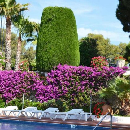 Especial vistas al mar en la Costa Brava: desayuno, cena y cava