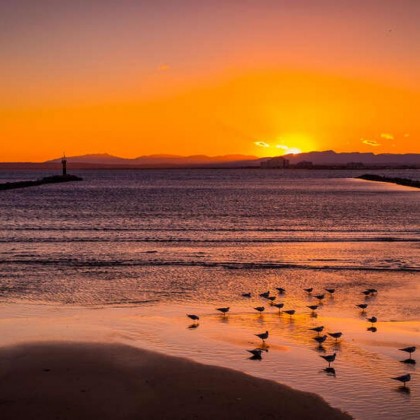 Lujo 5* con vistas al mar desde una preciosa Junior Suite con detalles románticos