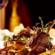Offre spéciale : séjour reposant et gastronomique dans la Sierra de Mogarraz (à partir de 2 nuits)