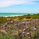 Vacances sur la plage de la Barrosa dans un appartement de luxe